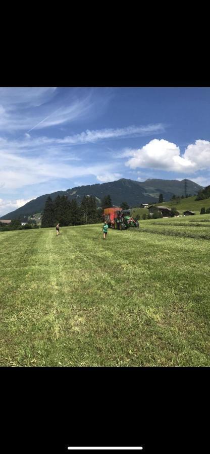 Schneiderhof Villa Weerberg Buitenkant foto